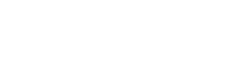 Next Logo